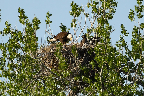 DSC_7654_edited