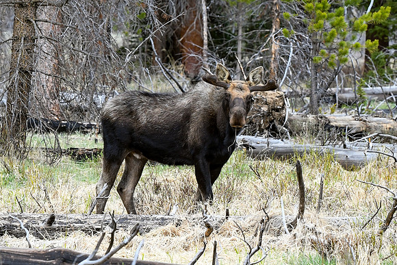 DSC_6680_edited