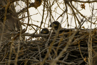 DSC_4524_edited