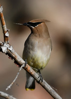DSC_3083_edited