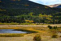 DSC_3965_edited