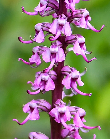 DSC_3062_edited