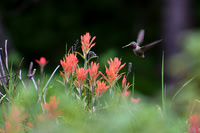 DSC_2997_edited