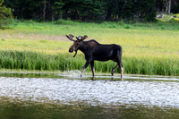 DSC_3127_edited