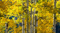 DSC_0464_edited-16x9