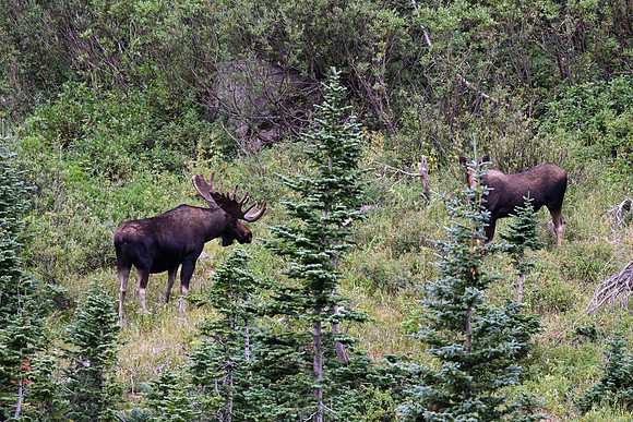 DSC_4833_edited - Wow!!!