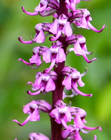 DSC_3062_edited