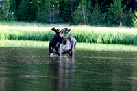 DSC_3155_edited