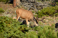 DSC_0171_edited