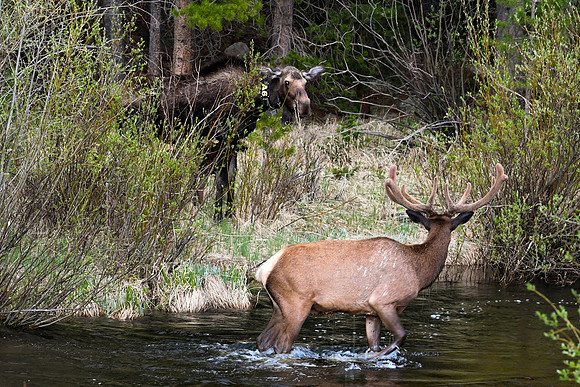 DSC_7760_edited