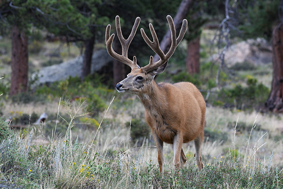 DSC_4958_edited