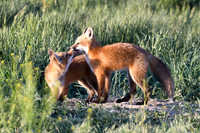 DSC_5434_edited