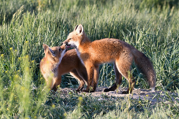 DSC_5434_edited