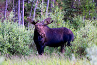 DSC_4625_edited