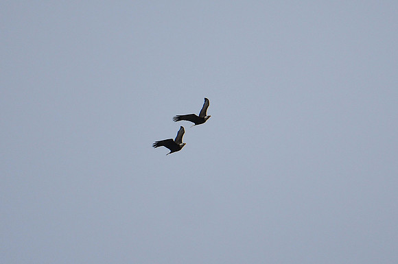 DSC_4048_edited-1