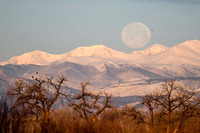DSC_0383_edited
