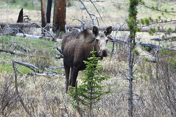 DSC_6769_edited