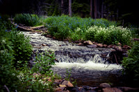 DSC_3032_edited