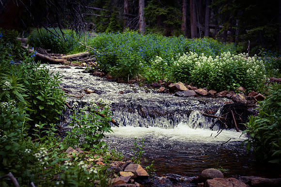 DSC_3032_edited