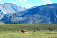 DSC_8303_edited