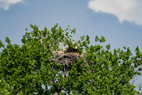DSC_8313_edited
