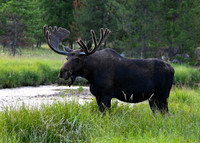 DSC_8431_edited_edited