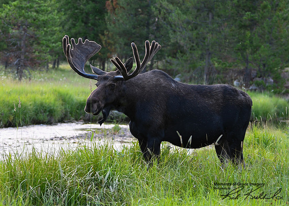 DSC_8431_edited_edited