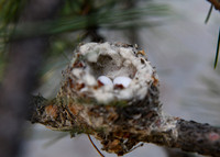 DSC_1365_edited