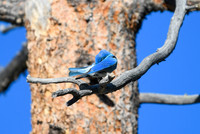 DSC_9107_edited