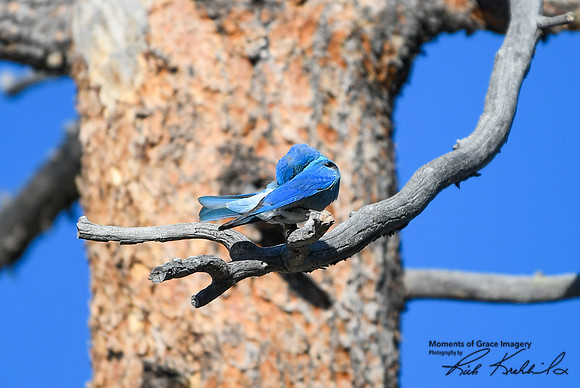 DSC_9107_edited