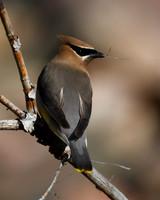 DSC_3068_edited