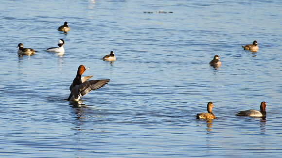 DSC_2070_edited-16x9