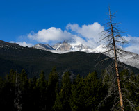 DSC_0218_edited-8x10 - Long's Peak