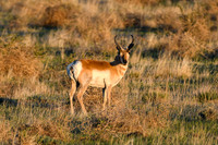 DSC_0400_edited