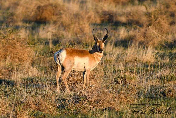 DSC_0400_edited