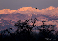 Add Watermark_2022_04_07_11_55_36_edited - DSC_0230 - 5x7 - Highest Rez