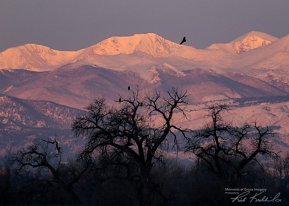 Add Watermark_2022_04_07_11_55_36_edited - DSC_0230 - 5x7 - Highest Rez