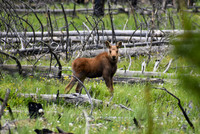 DSC_0278_edited