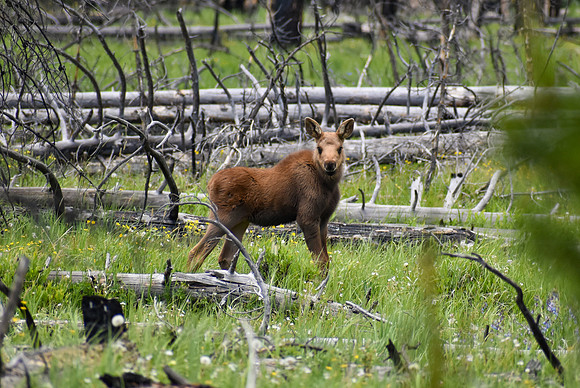 DSC_0278_edited