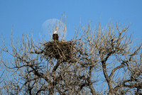 DSC_8455_edited