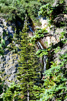 DSC_1861_edited - Blue Pine Cones atop a Sub-alpine Fir with cascade waterfall.