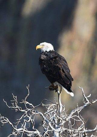 DSC_3258_edited