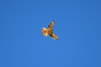 DSC_8544_edited