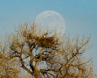 DSC_4295_edited_edited_edited