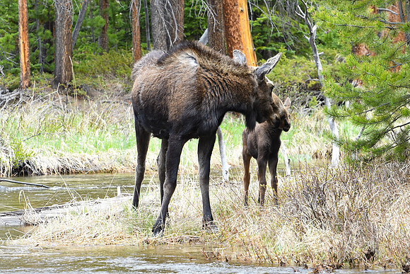 DSC_6840_edited
