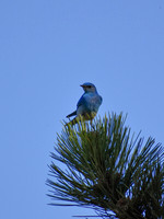 DSC_0361_edited