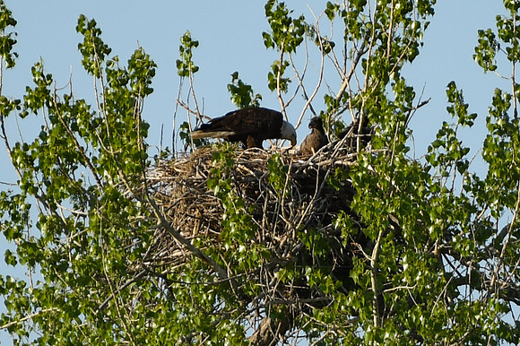 DSC_7651_edited