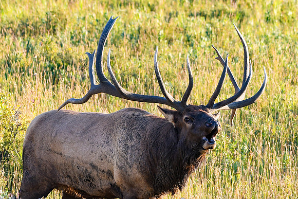 DSC_4613_edited_edited