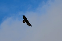 DSC_5028_edited