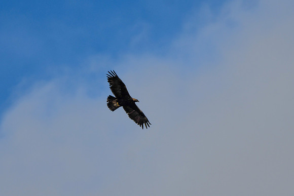 DSC_5028_edited